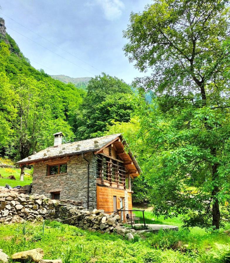 Baita Del Noce Mollia Luaran gambar